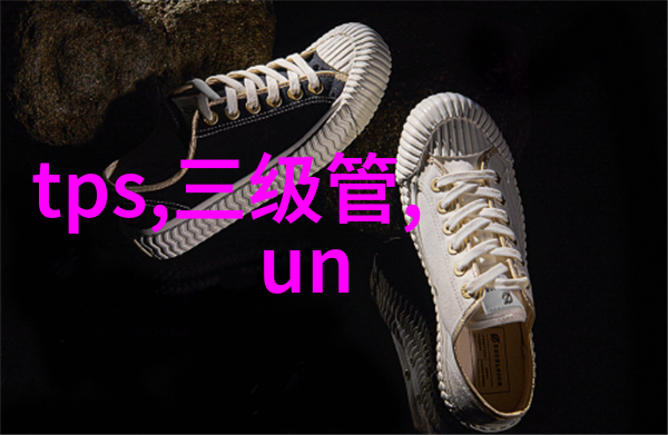 从一到二一卫改造成双卫生间的实用与美观效果图解析