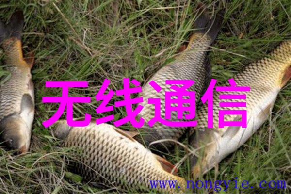 实验室成套设备配置与选购指南