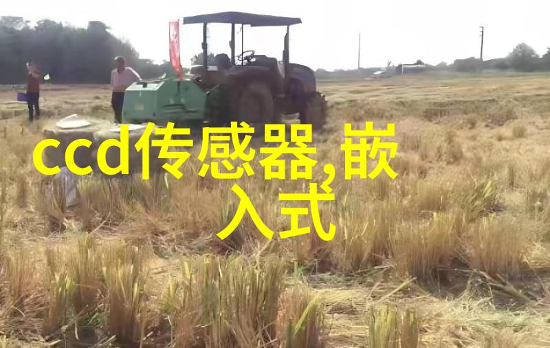 双重屏幕一面膜之下一部电视剧的隐秘故事