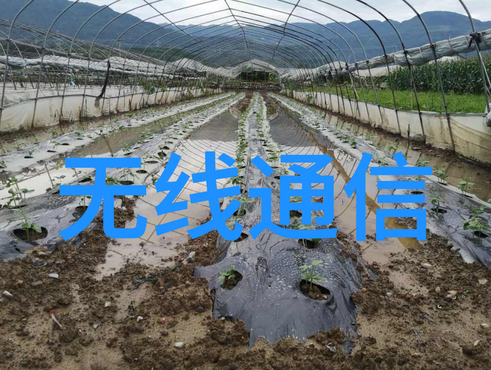 在Ubuntu上我应该如何检查GPU的运行温度