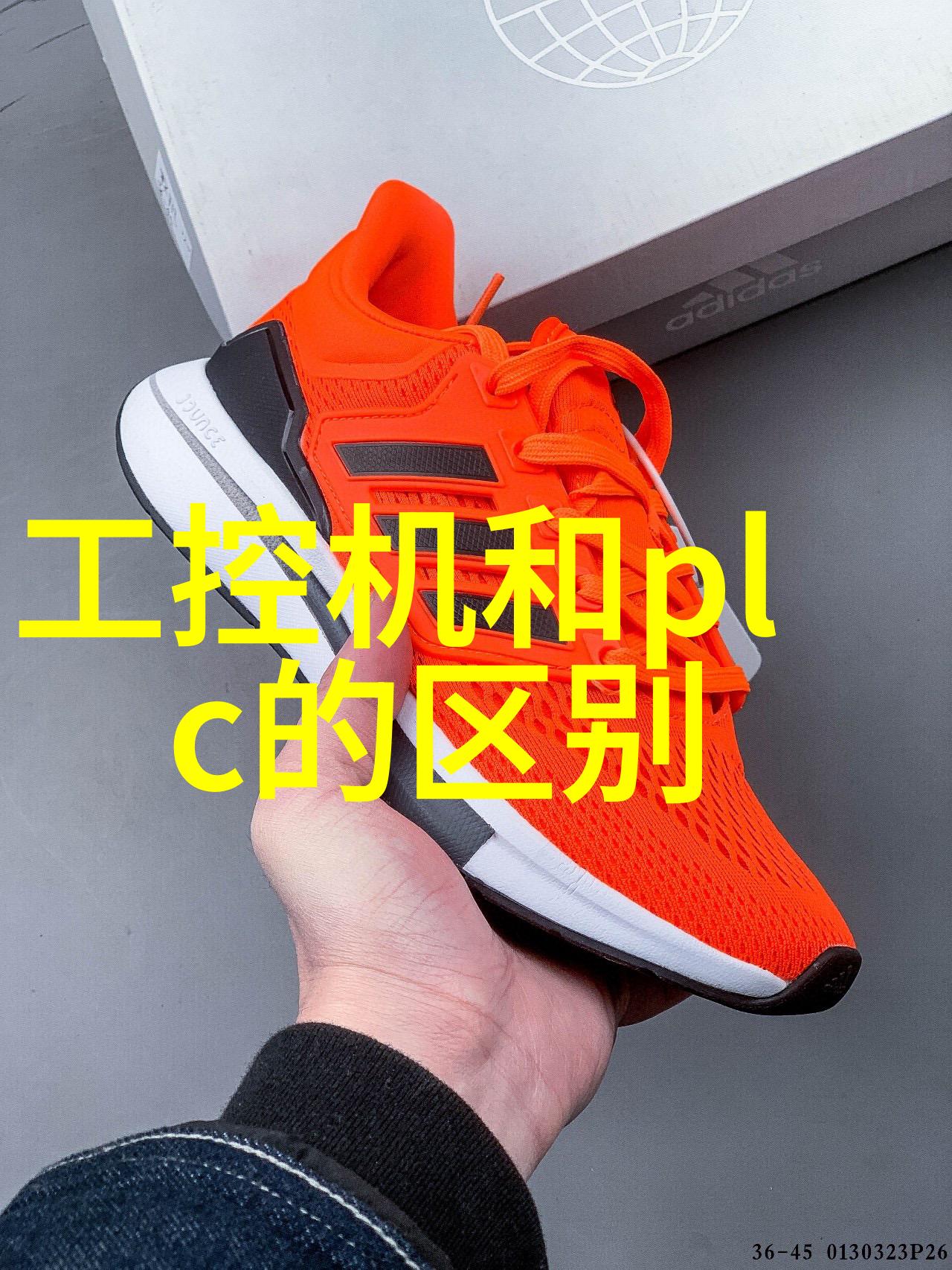水多肉多探索现代生活中的简约美