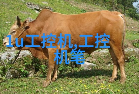 输送设备制造生产厂家-高效智能化未来的输送设备制造趋势与挑战