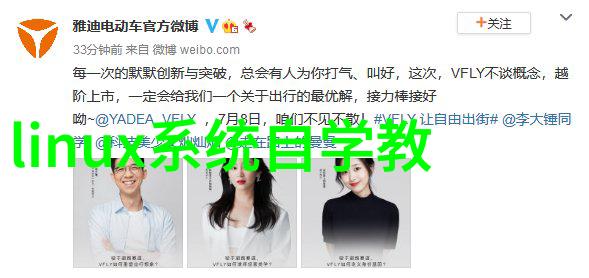 电子的灵魂芯片之谜