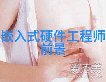 车轮的守护者刹车分泵的故事