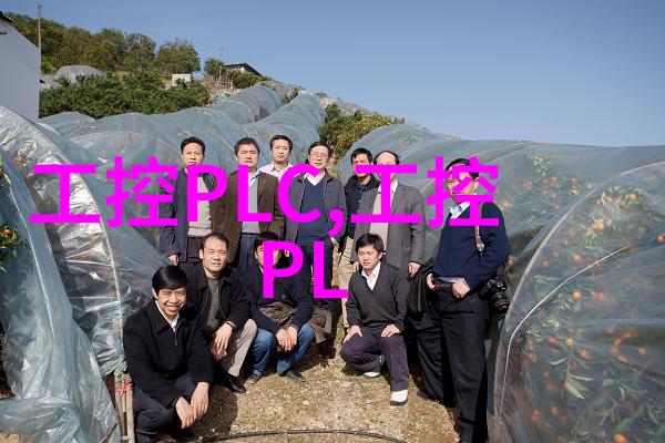 嵌入式测试的核心任务确保设备性能与安全性