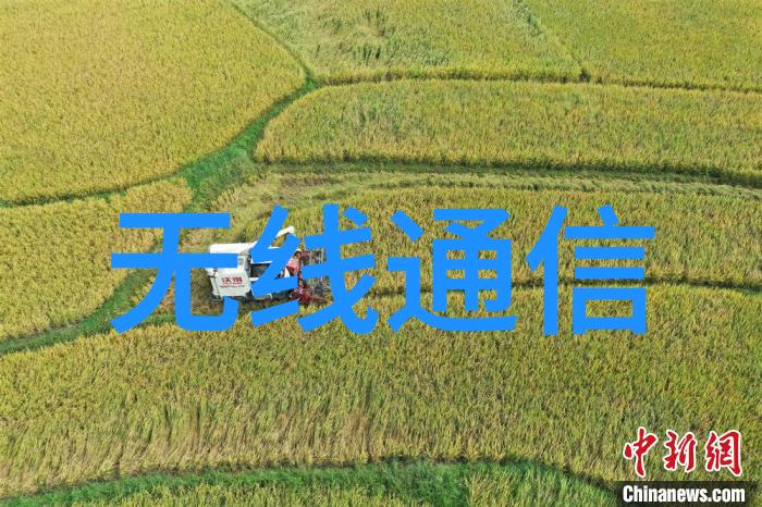 Linux内核引导与设备初始化