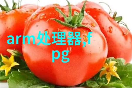 我的粘土泥石分离机帮你轻松搞定家园整治