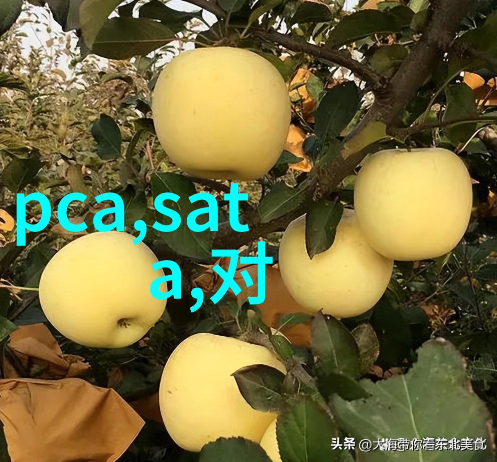 水质检测报告180解析是否可以饮用的关键指标