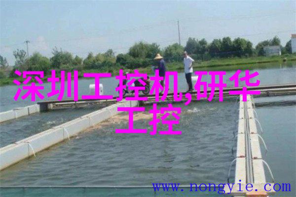 跳跃时光的课堂探索老师带着跳D上课的奇妙网站