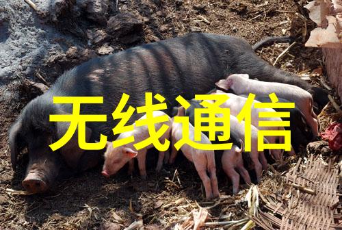 合肥工控机智能制造的新篇章