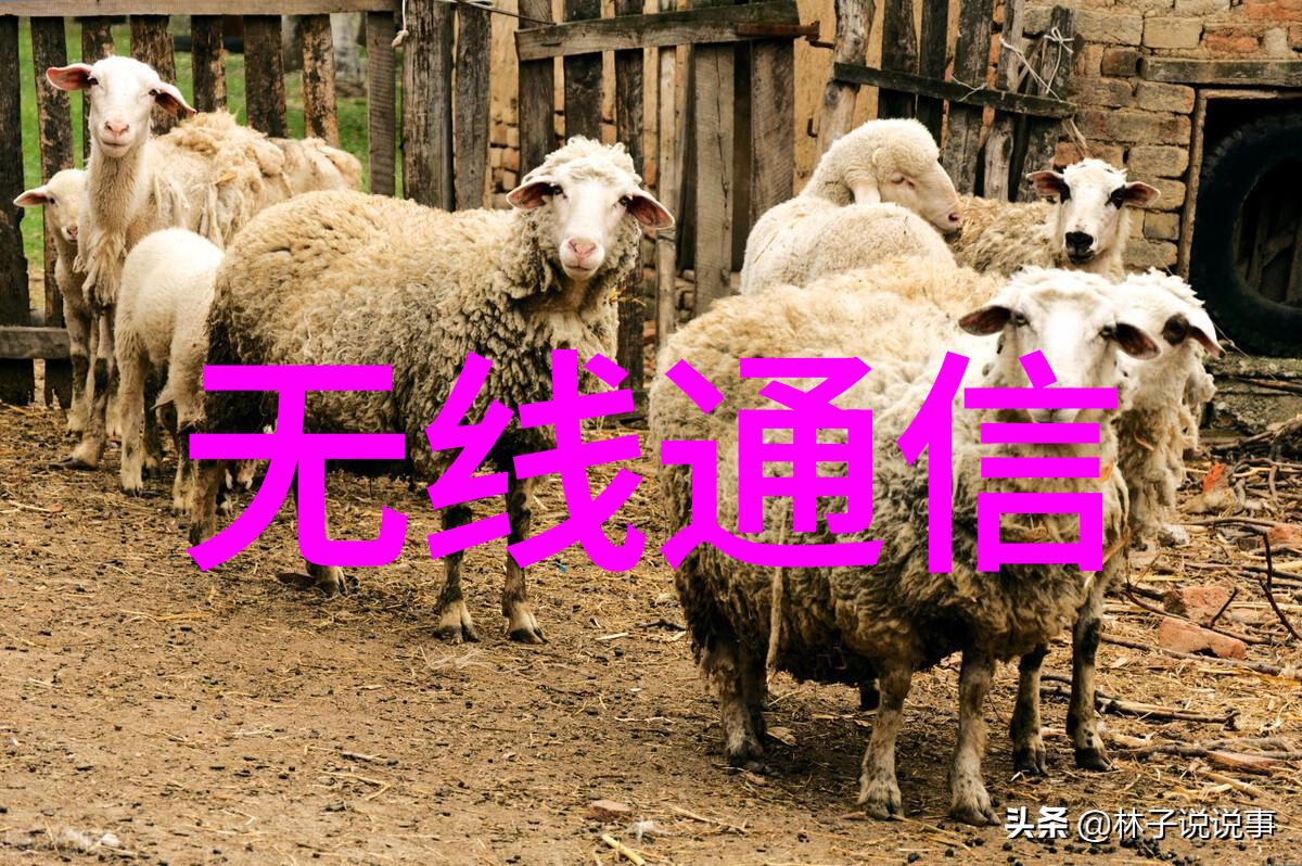 从零到英雄嵌入式系统学习的时间线
