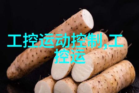 自然界中的单相变频器控制单相电机选型方法与直流电机工作原理图的应用