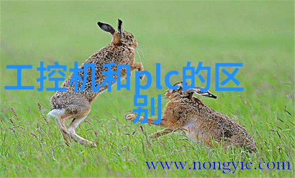 我们为什么需要RHCE解析它对IT行业的影响