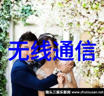 微型奇迹嵌入式平台的隐秘力量