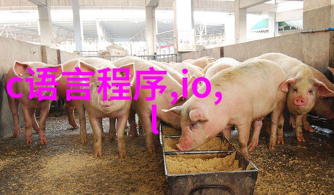 邻里间的美丽交换探索社区之间的文化与生活方式融合