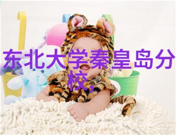标准与规范保证化工卫生阀产品质量