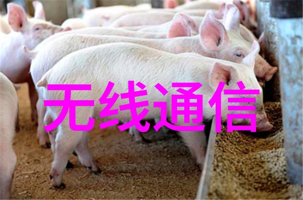 国家级认定迈威通信荣获第五批国家专精特新小巨人企业称号