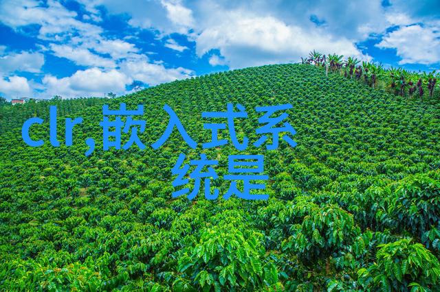 水质检测器的精准指南解读tds笔读数与正常范围