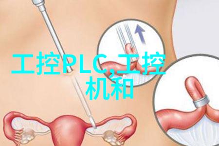 滚筒干燥设备的工作原理与应用概述