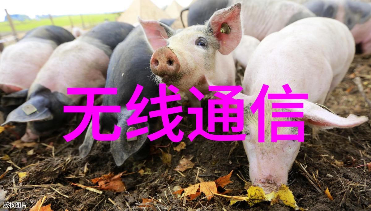 我是华人创你知道吗我们华人的创意力真的很厉害