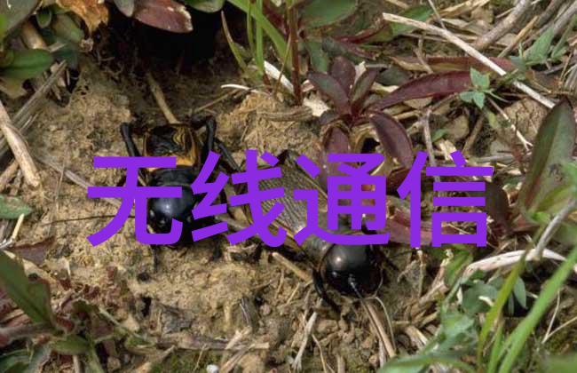 力纳克ELEVATE升降方案革新码垛机器人升降技术引领行业新高度