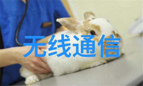 数字巡演青岛站 以数字化点燃高质量发展新引擎