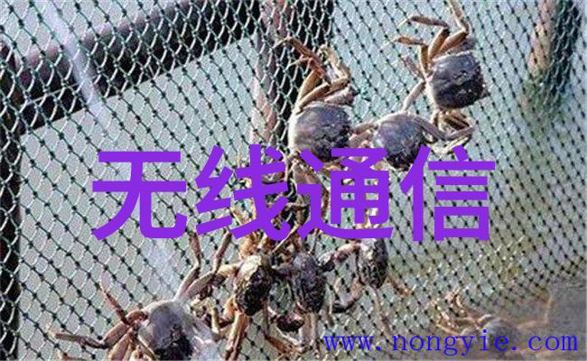 不锈钢波纹填料用途-高效耐腐蚀的流体过滤解决方案