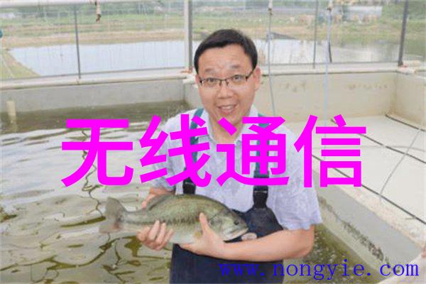 安全数据存储系统的未来发展方向探究