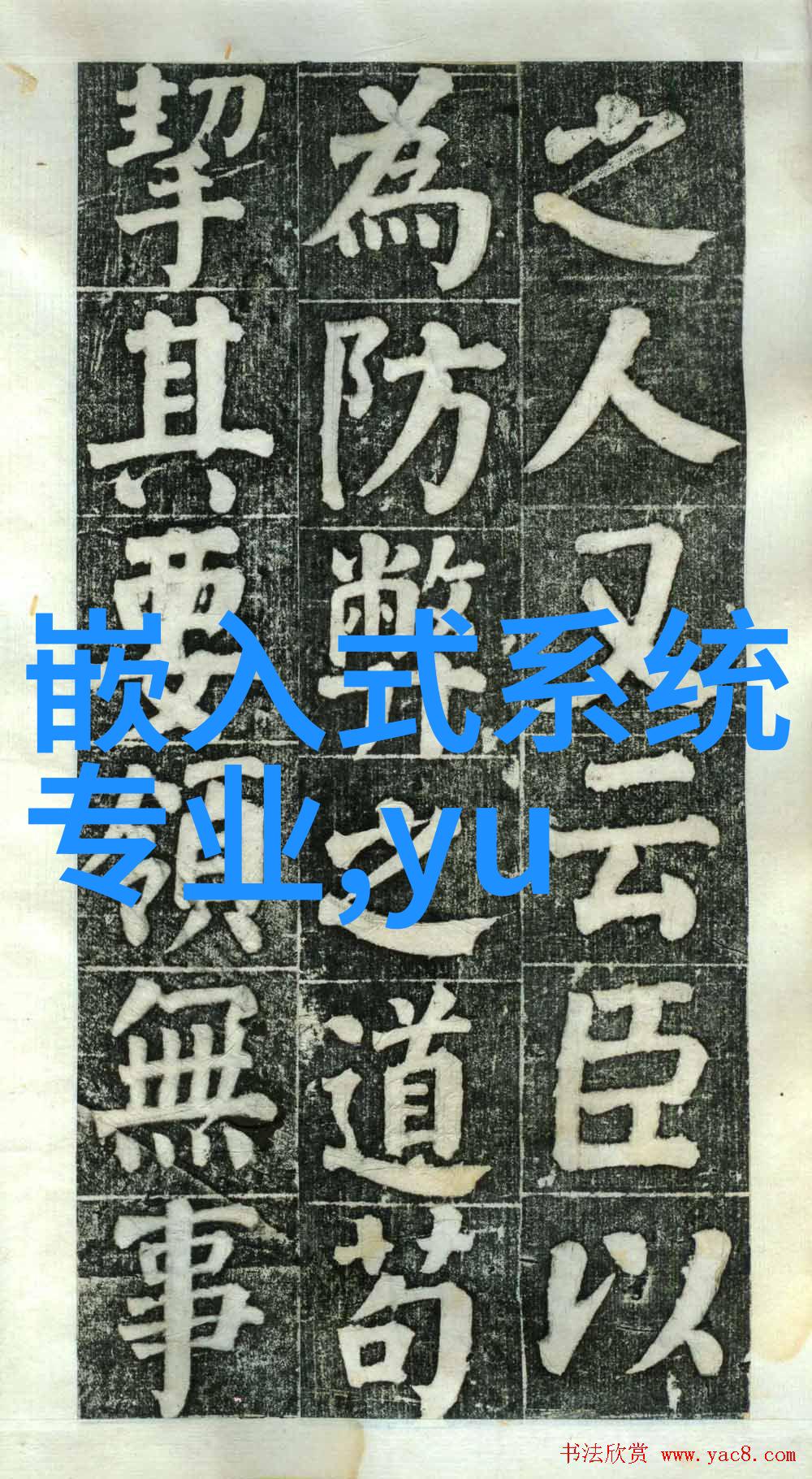 中国的奇迹与挑战sikixix时代的转型