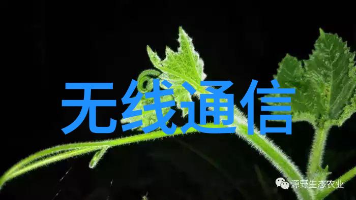 系统开发代码之梦与技术的征程
