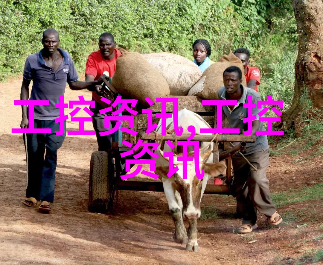 美丽屋景四季更替的艺术展现