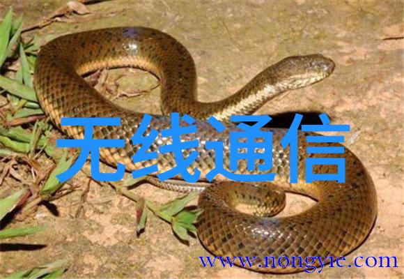 一旦购买了工控系统用户应如何进行后续维护和升级呢