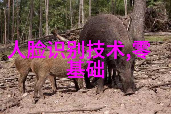 反应釜维护与更换指南