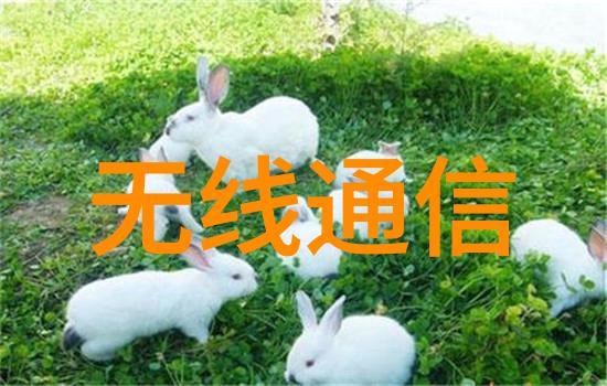 你知道吗嵌入式系统的未来触手可及