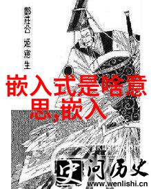 芯片风云揭秘中国半导体行业的黑幕