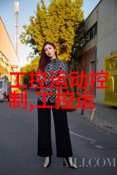嵌入式软件优化技术与性能分析