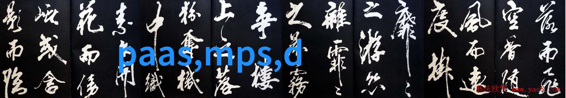 淑容四次上船张开腿 - 船上的秘密之旅与未解之谜