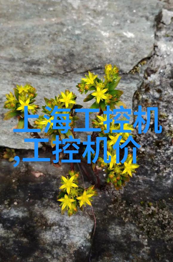 研发动力驱动科学进步的最新实验仪器介绍
