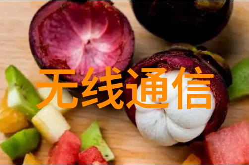深邃井心的千里眼探索向井千里的智慧与魅力