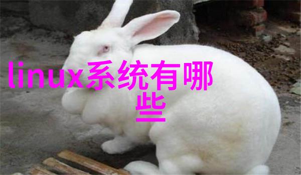 液体之旅揭秘压滤机的奥秘