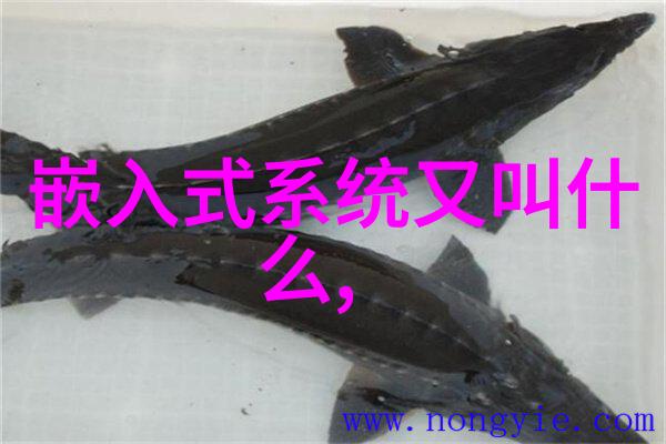装饰梦想言语魔法900个引人入胜的销售技巧