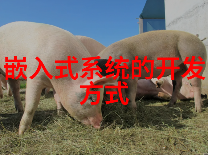 兄弟装饰家风绘卷