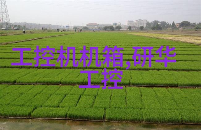 大型微波干燥设备我来告诉你这台机器是如何让干燥工作变得既高效又省力