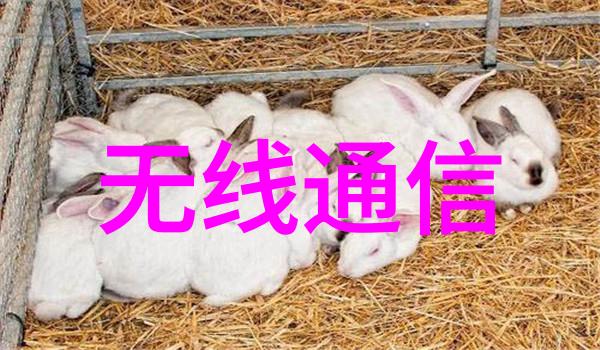 上海工控机我在这里的故事从零到英雄的电子旅程