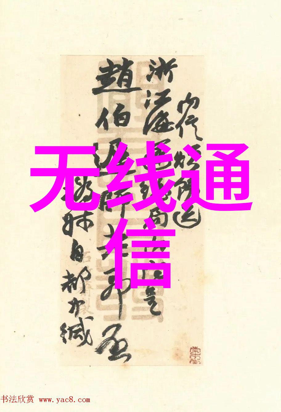 激进言论的急遽增长背后他顶撞的速度究竟为何