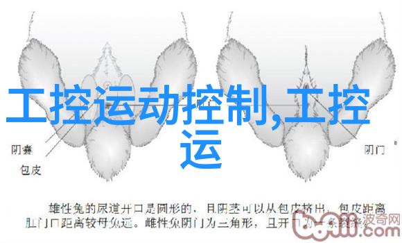 蒸汽换热器-高效能的能量传递专家如何优化工业过程中的热交换