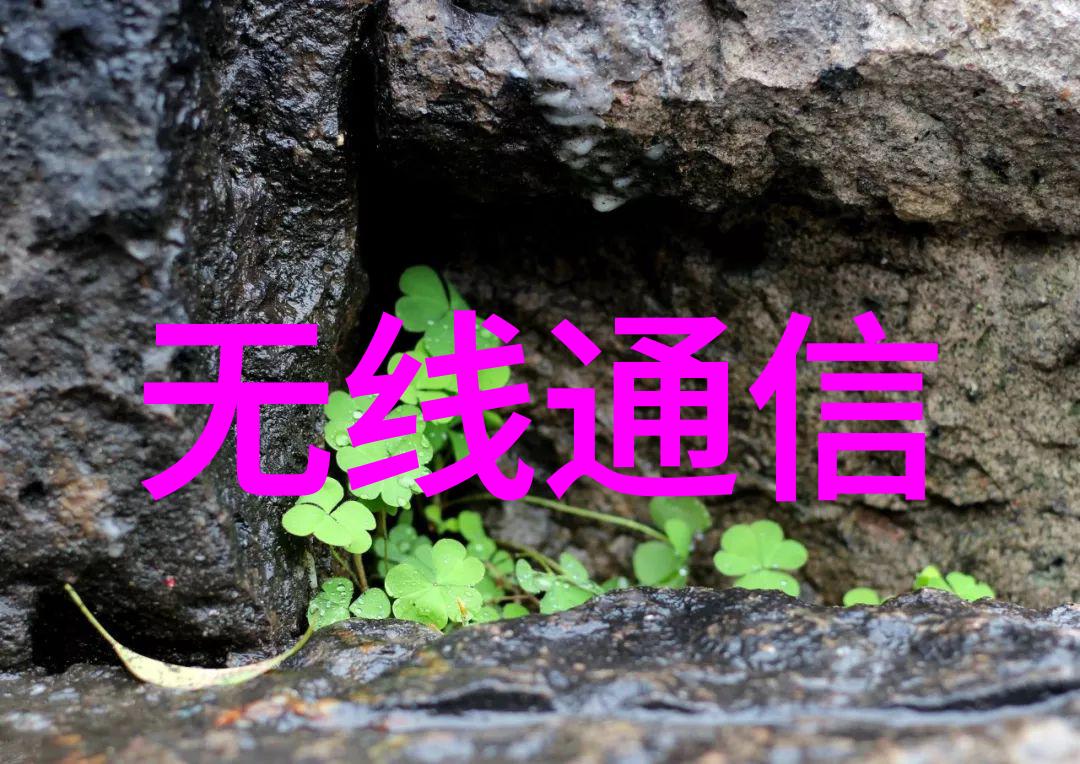 从微控制器到集成电路嵌入式系统硬件演进