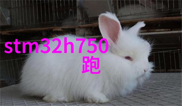 小米新品发布会小米新品炫酷科技发布会
