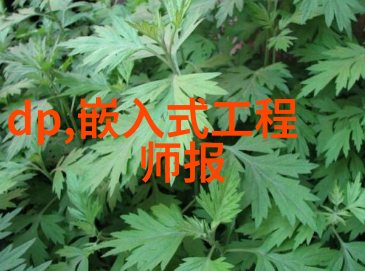 报告书撰写技巧详解提高报告书写作质量的策略