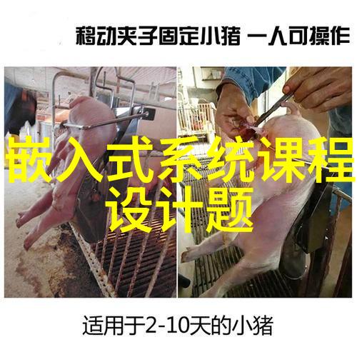 镜头下的瞬间人像摄影的抓拍之谜